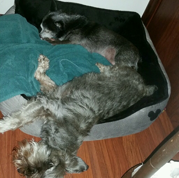 Meet your Posher, Stephanie - Picture 1 of 1